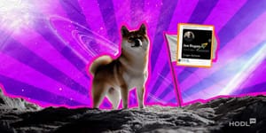 Elon Musk und die Achterbahnfahrt des Meme-Coins