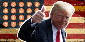 Trumps krypto-freundliches Kabinett