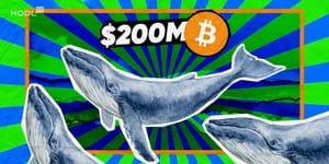 Bitcoin-Wale wirbeln den Krypto-Markt auf: 200-Millionen-Dollar-Kauf und Erwachen nach 8 Jahren Schlaf