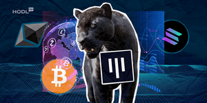 Trotz Bitcoin-Anstiegs bleibt Krypto-Besitz begrenzt