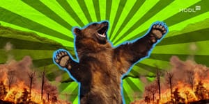 Berachain-Mitbegründer bestreitet Bericht über 25-Millionen-Dollar-Rückerstattung