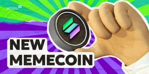 Solana-Meme-Coin PUNCH steigt um 80.000 % auf 47 Mio. Dollar