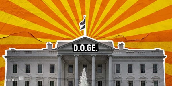 Trump gründet DOGE mit Musk und Ramaswamy