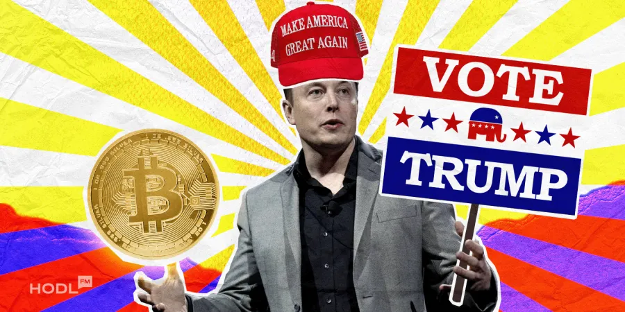 Trump vs. Harris: Bitcoin und Musk heizen den Wahlkampf an