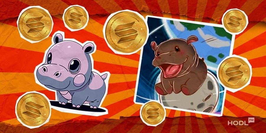 MOODENG: Hippo-Coin erobert das Netz!