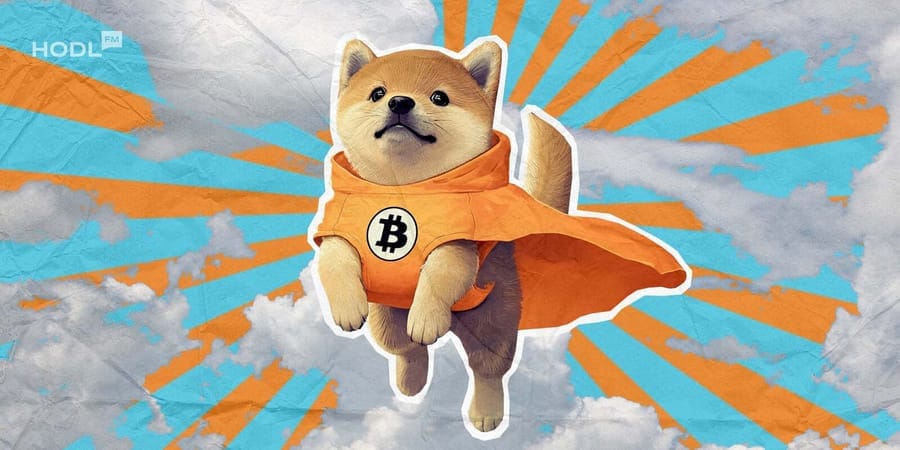 Meme-Coin-Manie: $DOG auf Erfolgskurs