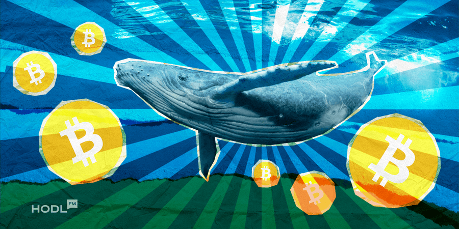 Bitcoin steht unter Druck, da Wale und Kleinanleger verkaufen wollen
