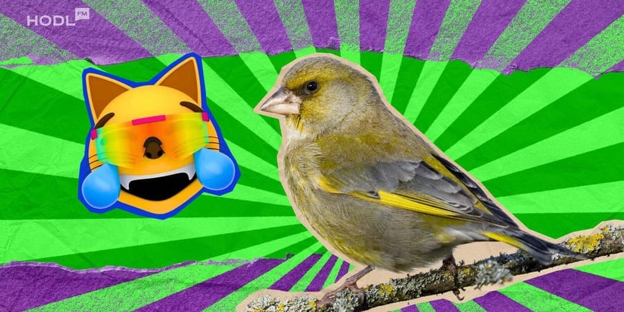 Canary Capital beantragt Spot-MOG-ETF, während XRP-Fonds an die Nasdaq geht