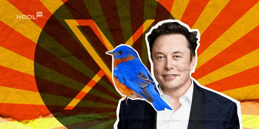 Elon Musks X Money sucht technischen Leiter mit Solana-Unterstützung